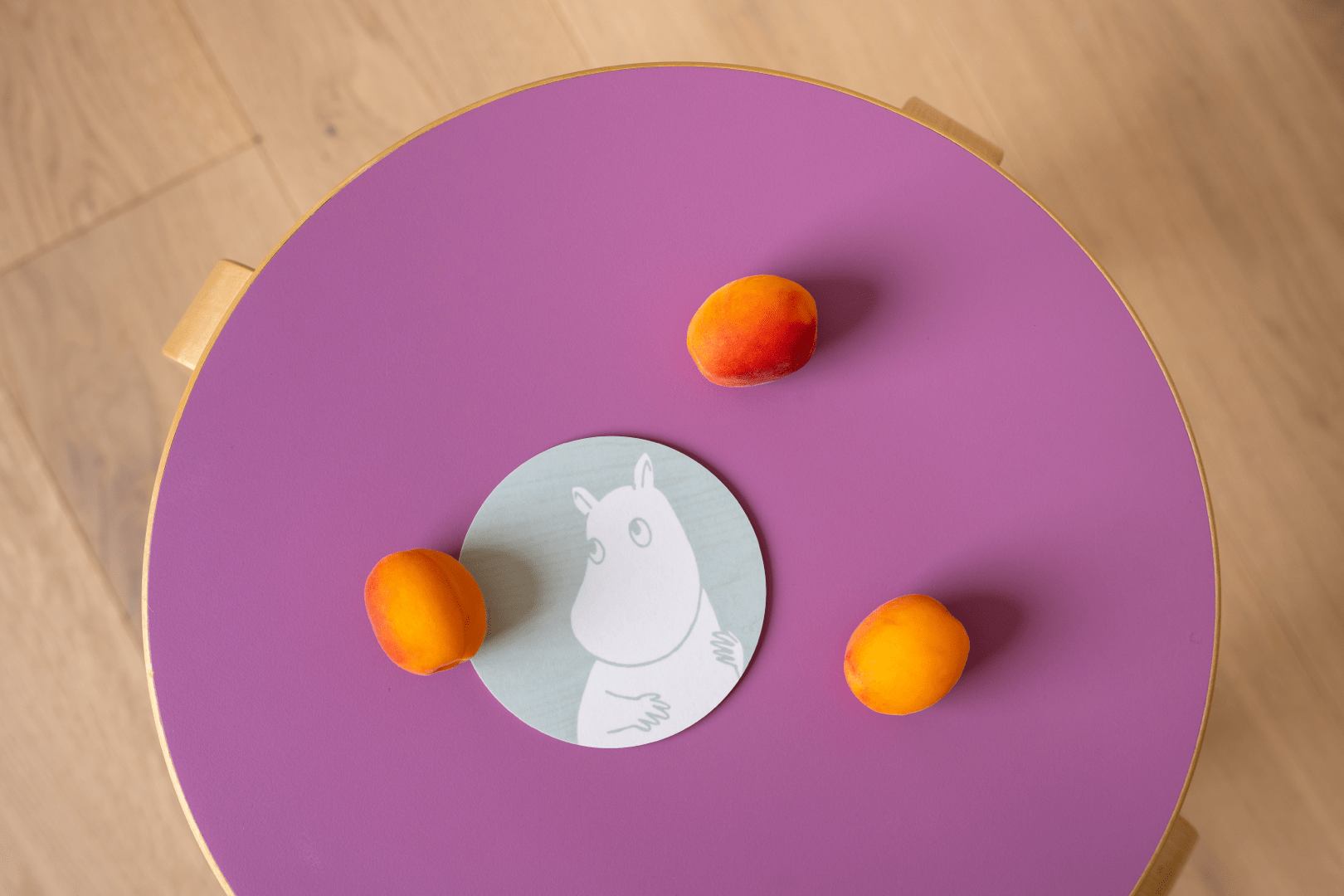 Moomin coaster 10 cm - Mumitrolden.