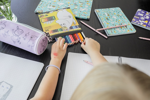 Mumitroldene Moomin colouring pencils 24 pcs