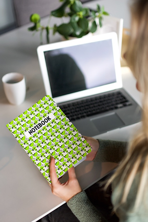 Mumitroldene Pop Art notesbog A5 grå