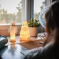 Mumitroldene Natlampe Hattifatter