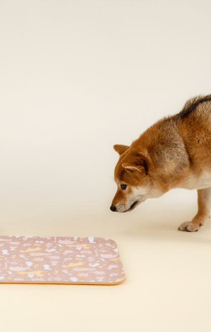 Mumitroldene dækkeserviet af krydsfiner 50 x 29,5 cm - beige - Dsignhouse