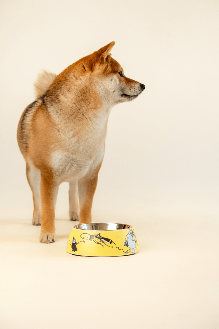 Mumitroldene hundeskål L - grå - Dsignhouse