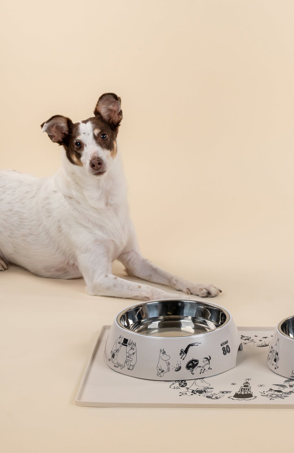 Mumitroldene madskål til kæledyr Mumitroldene 80 L - Dsignhouse