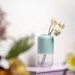 Capsule Vase clear/mint